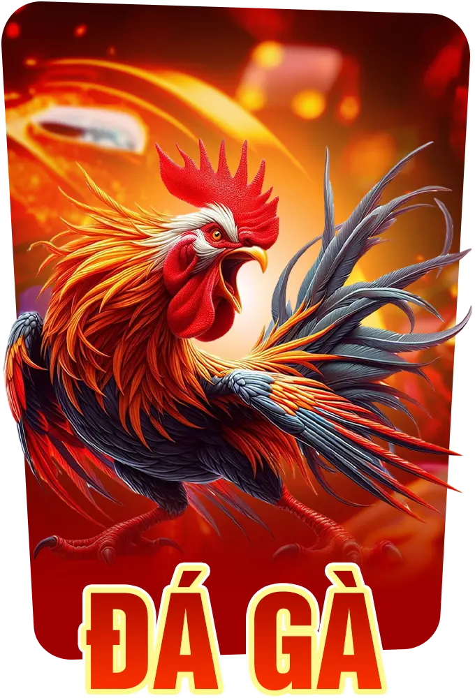 Đá Gà RS88